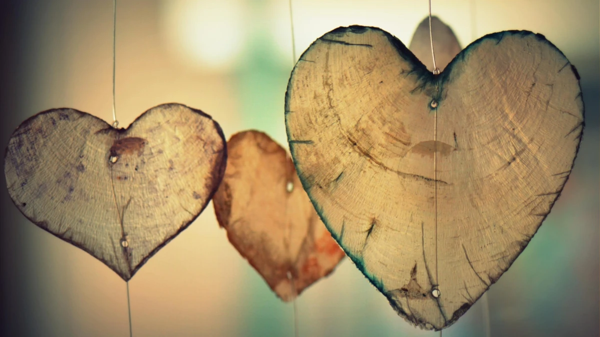 Heart love romance valentine Heart love romance valentine