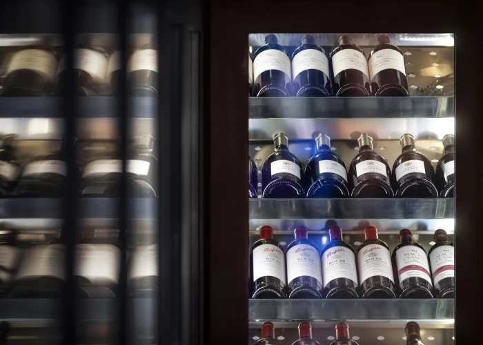 bodega bodega
