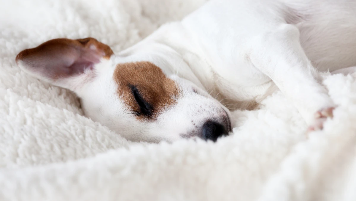 Hotel Granados 83 Barcelona Hotel Granados 83 Barcelona