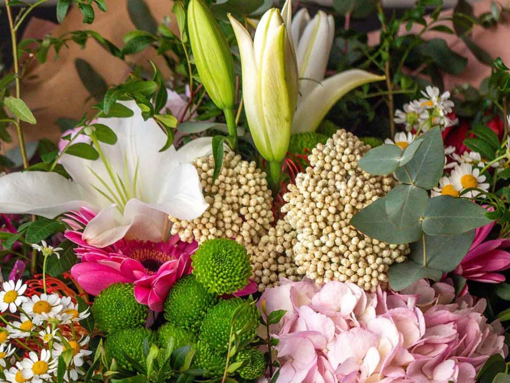Ramo de Flores | Hotel REC Barcelona Ramo de Flores | Hotel REC Barcelona