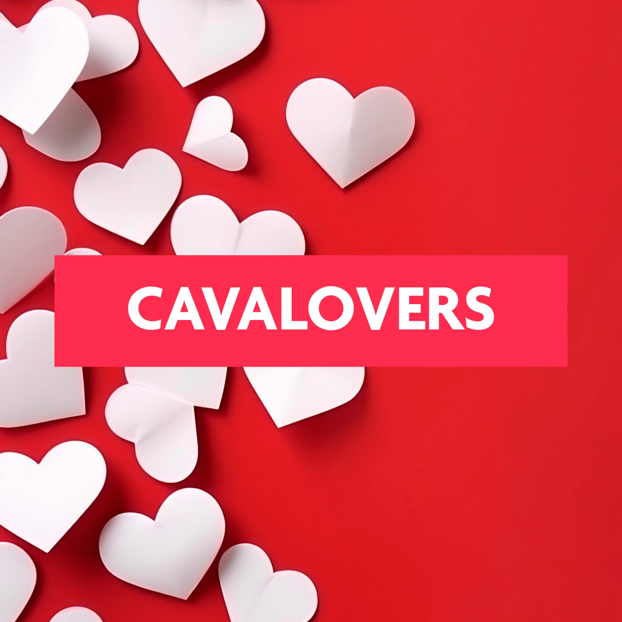 CAVALOVERS - Promoción San Valentín | B-Hotel