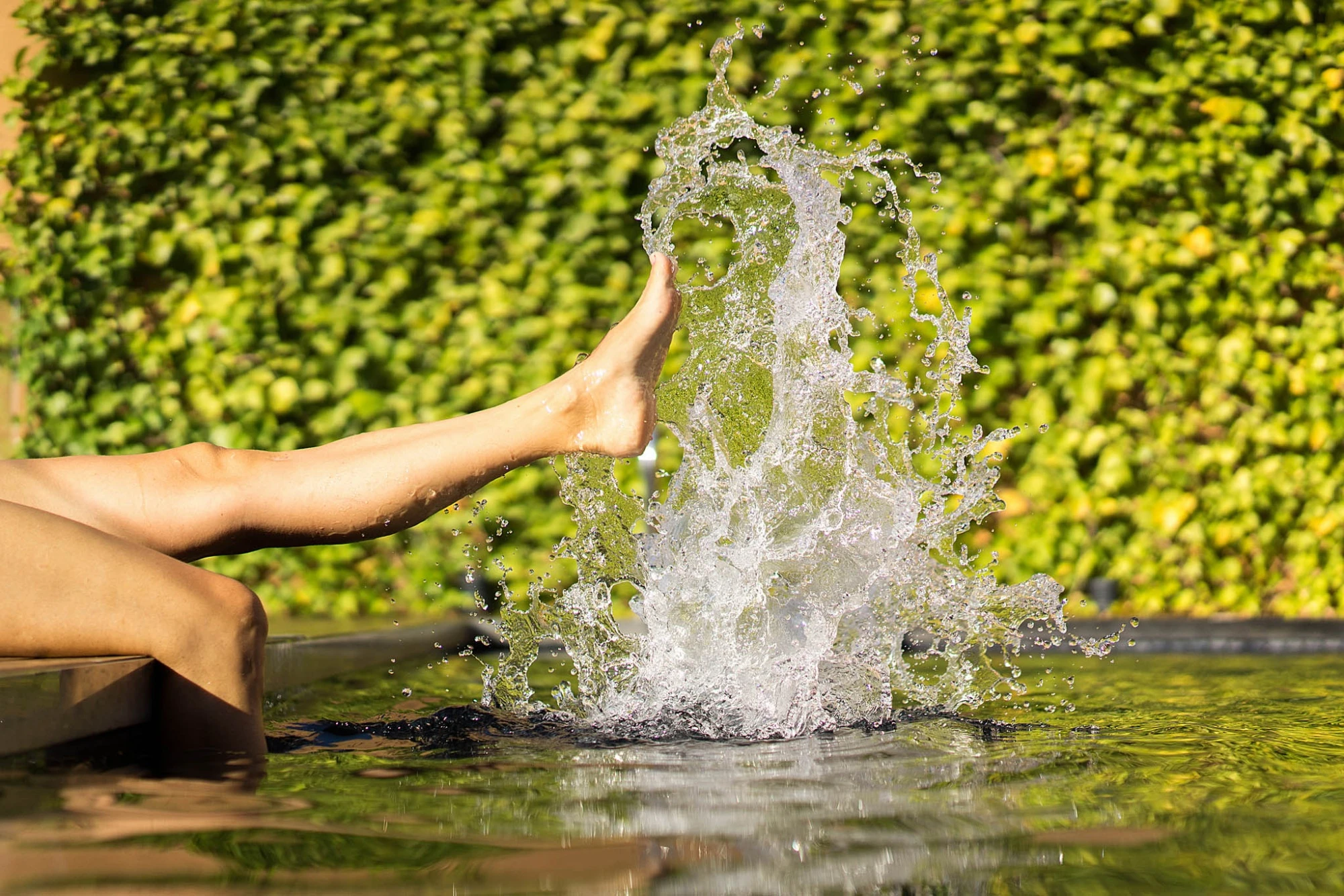Pool | Hotel Europark