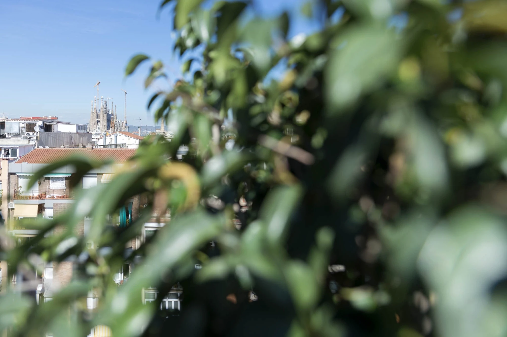 Vistes Sagrada Família | Hotel Europark