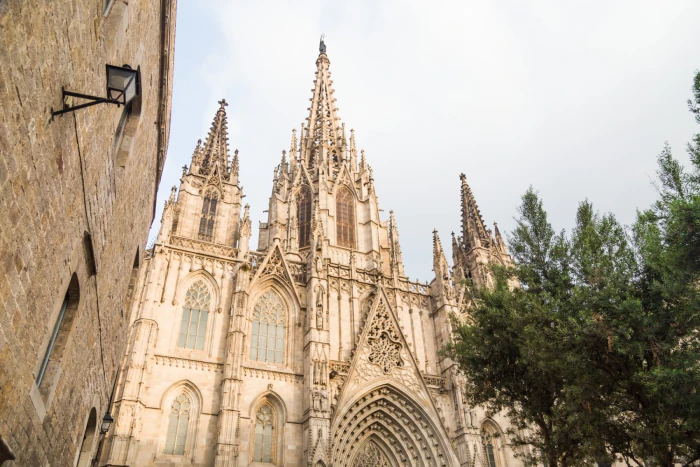 Si vede la facciata di una cattedrale gotica con torri e archi, accanto a degli alberi.