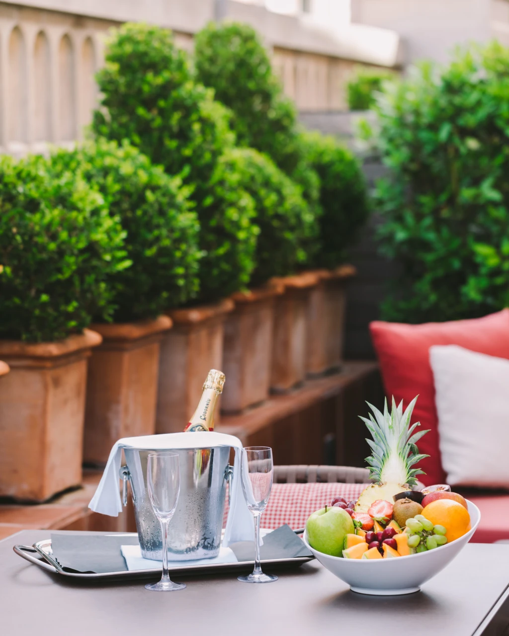Une table sur la terrasse est dressée avec des assiettes de fruits, des verres et une bouteille, entourée de coussins et d’arbustes en jardinières.