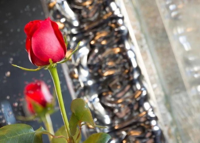 Hotel Balmes Barcelona Hotel Balmes Barcelona