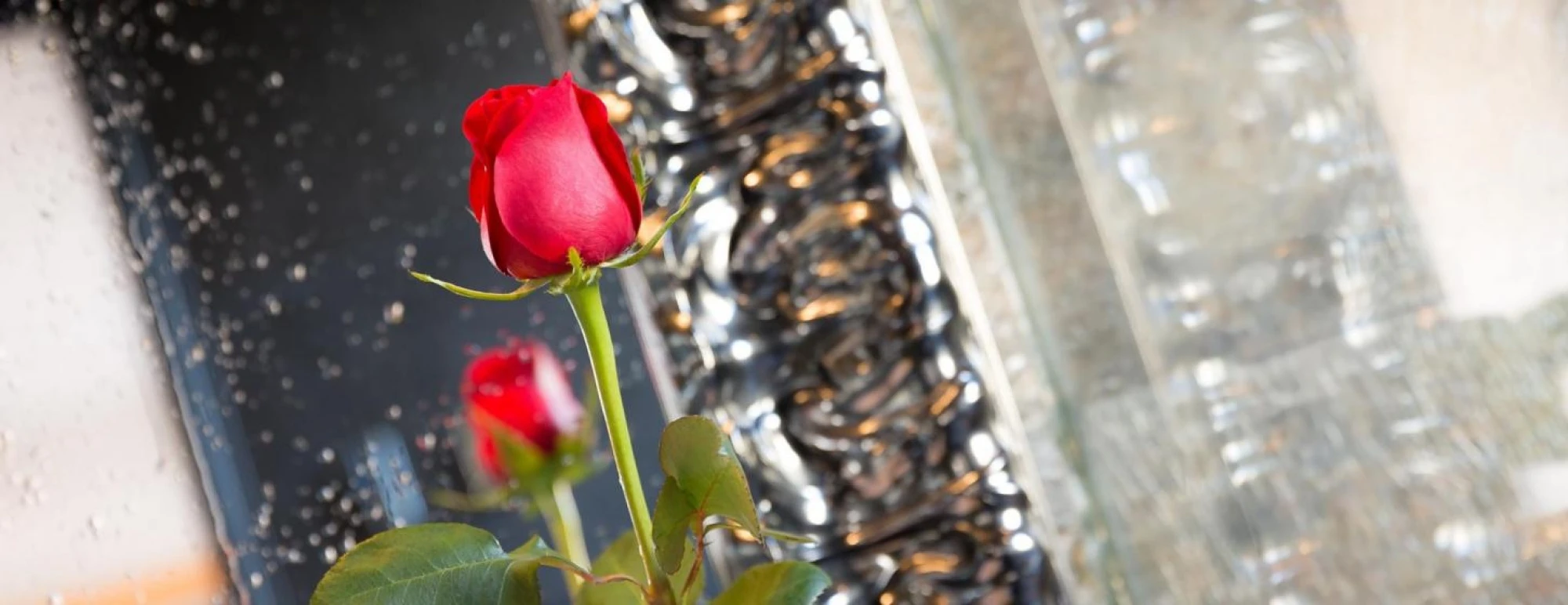 Hotel Balmes Barcelona