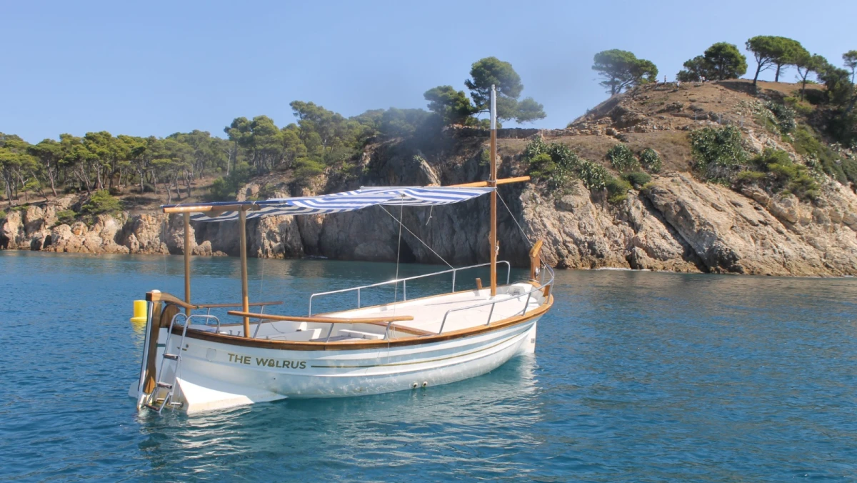 WhatsApp Image 2025 03 19 at 10.55.20 (1) WhatsApp Image 2025 03 19 at 10.55.20 (1)