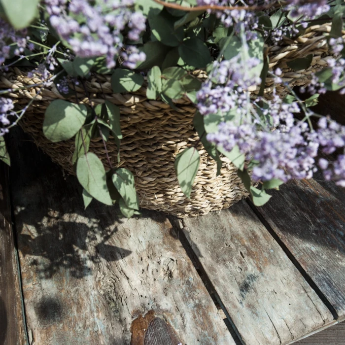 Ofertas especiales Hotel Cala del Pi -Web Oficial ® Hotel Cala del Pi - Adults Only