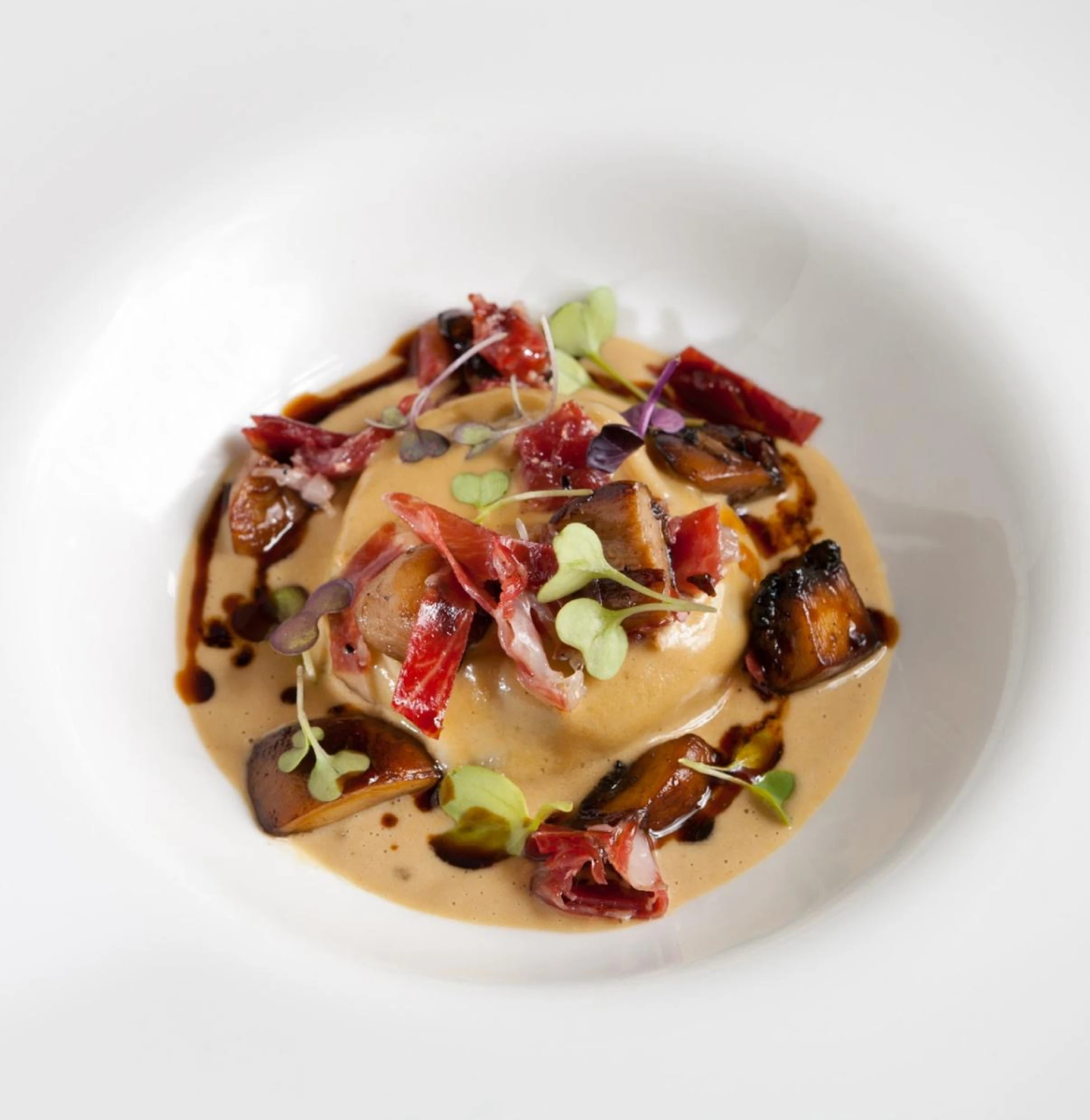 Imagen que muestra un plato de raviolis, con pasta de color dorado y relleno visible, presentado de manera apetitosa, ideal para destacar la oferta gastronómica del hotel.