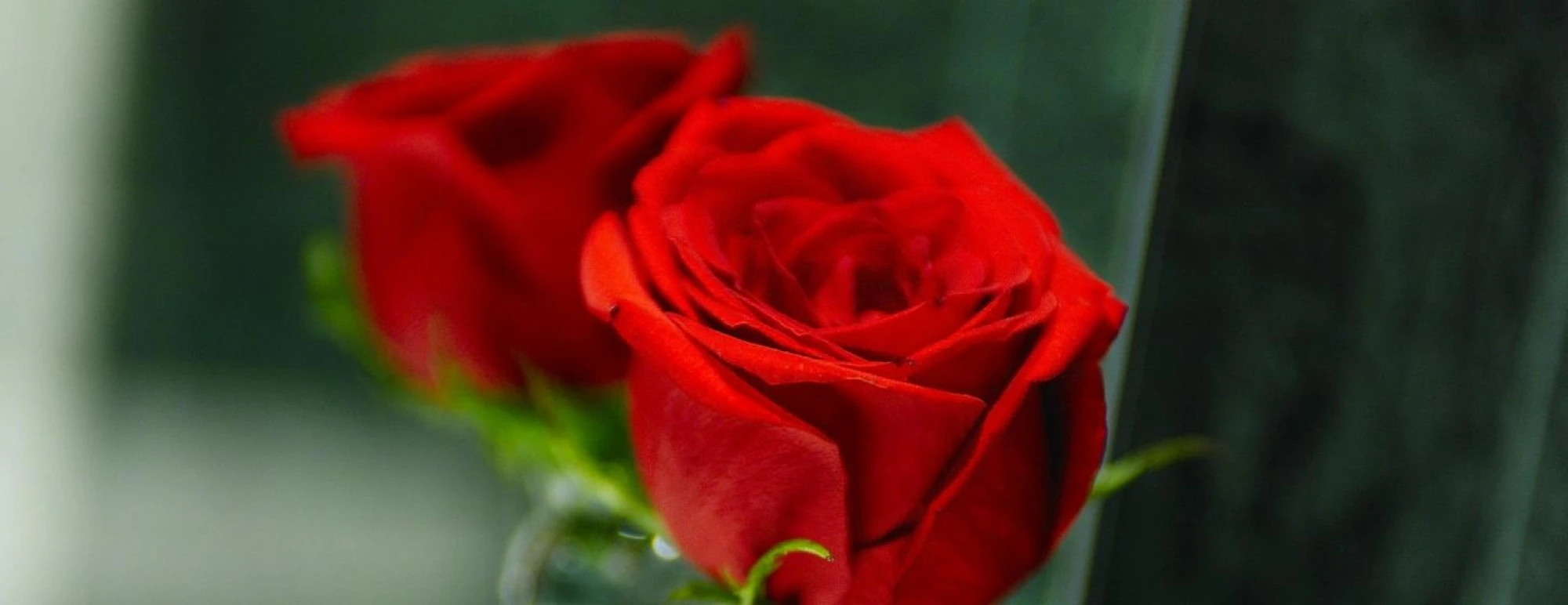 Hotel Derby Barcelona