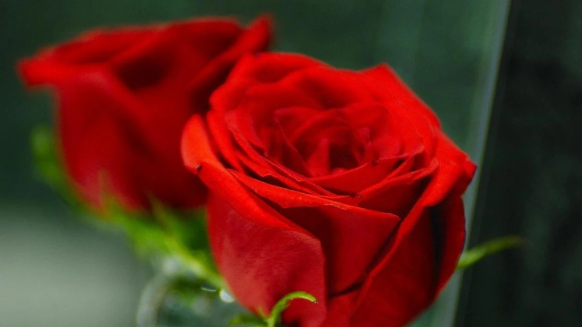 Hotel Derby Barcelona Hotel Derby Barcelona