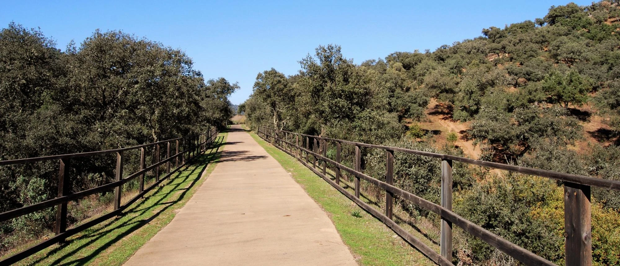 Shutterstock 1079041307bakja 952