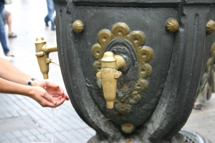 Se ve un escudo heráldico de metal con un candelabro en relieve sobre una placa oscura.