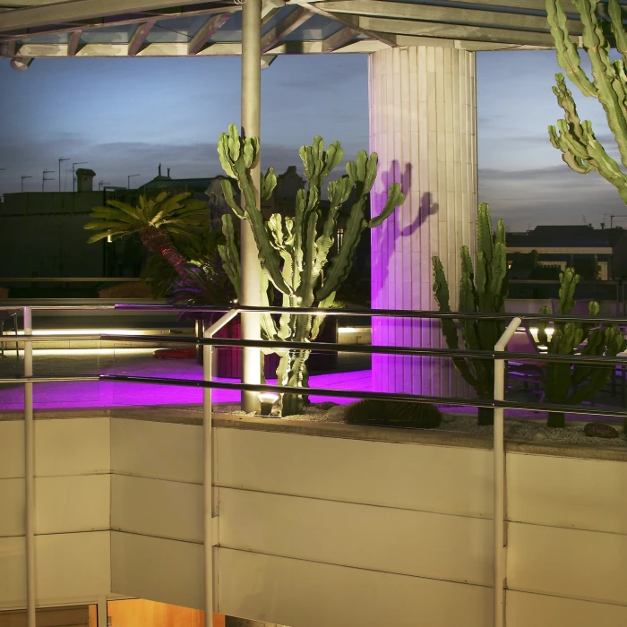 Claris Hotel & Spa 5*GL Hotel Claris Barcelona