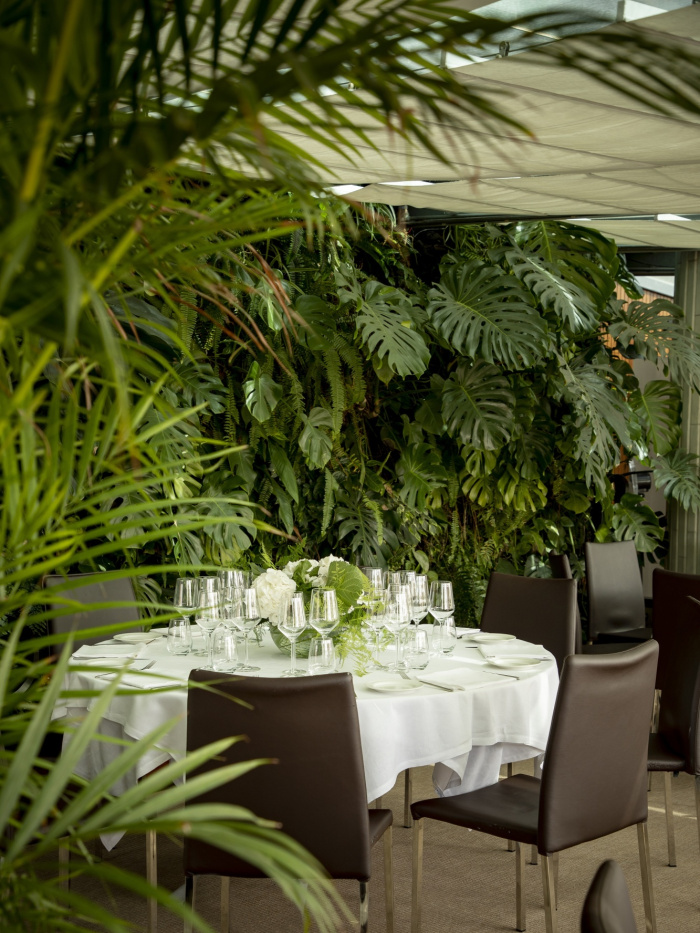 Hotel Claris 5*GL Barcelona Hotel Claris 5*GL Barcelona