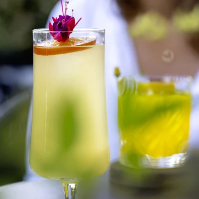 MH Coctles Paradiso 02416 MH Coctles Paradiso 02416