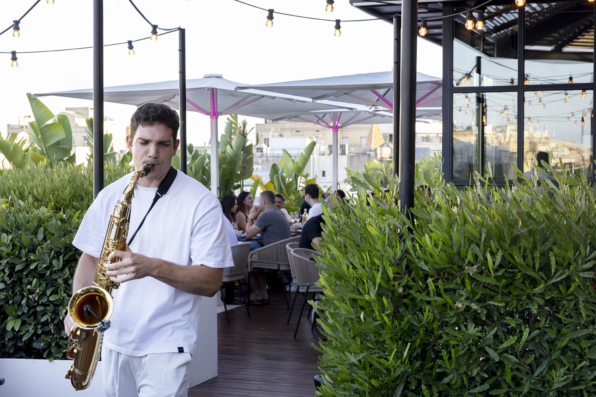 MH TERRAZA VERBENA 02261