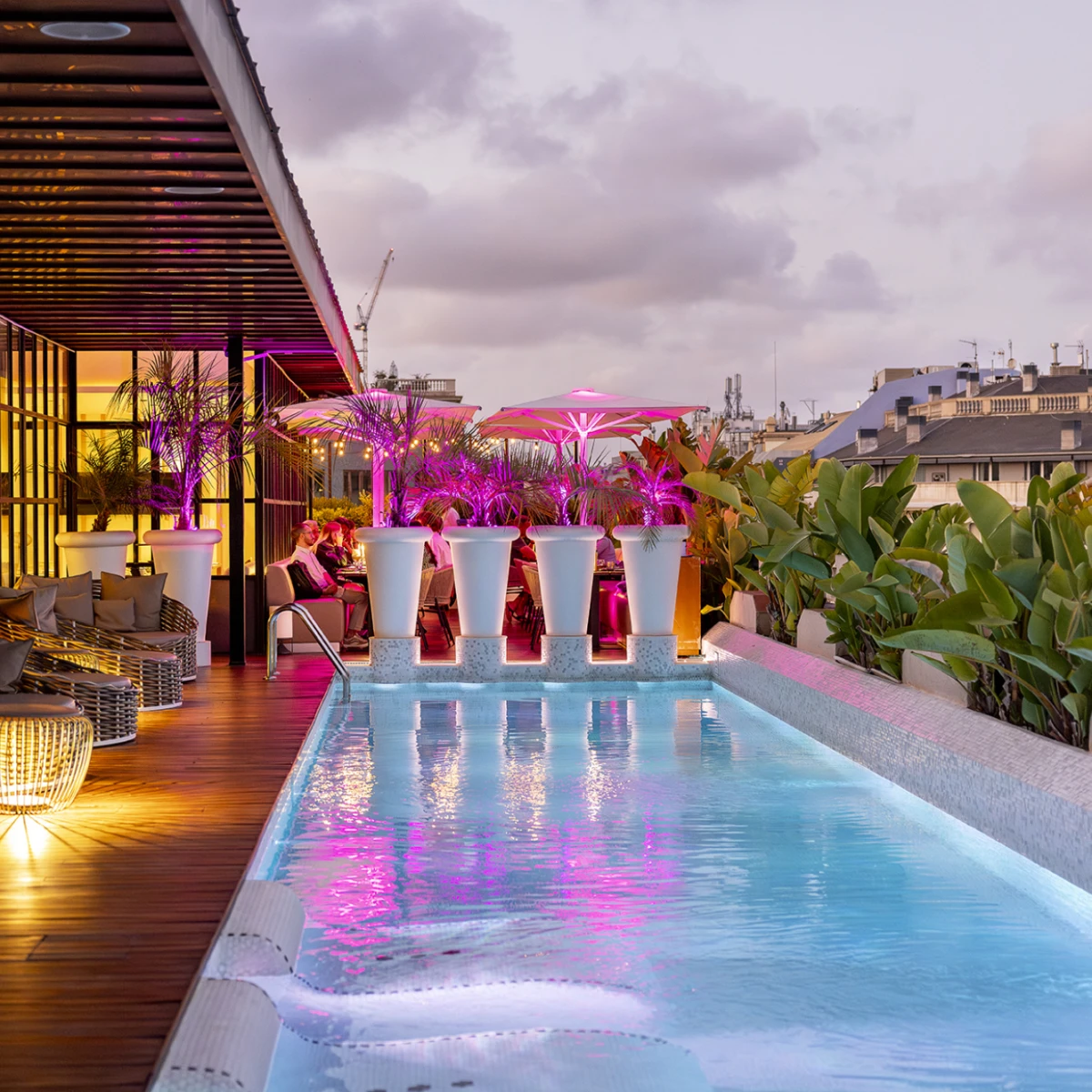 MH TERRAZA VERBENA 02492 MH TERRAZA VERBENA 02492