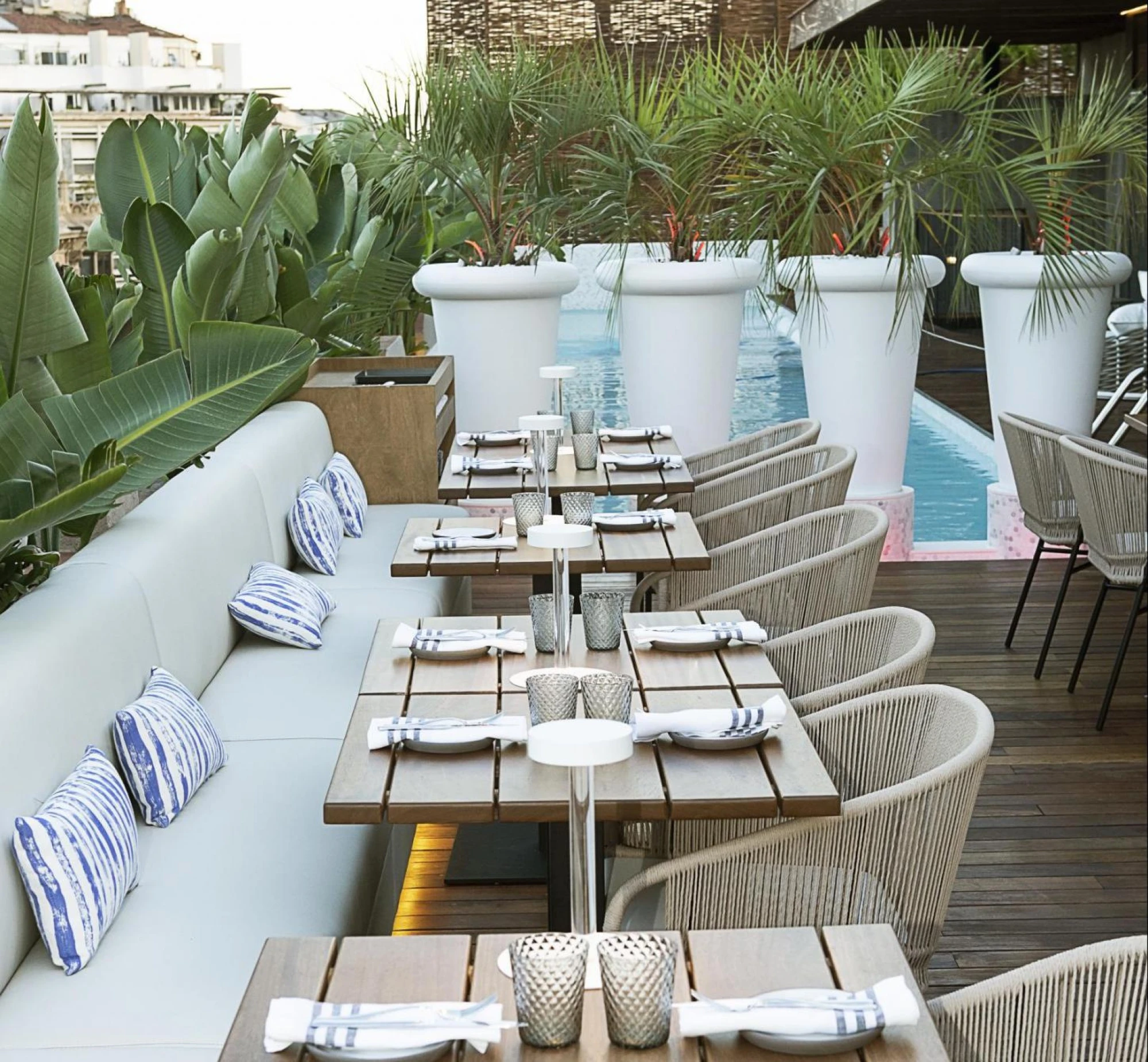 Mh verbena rooftop 06193 986