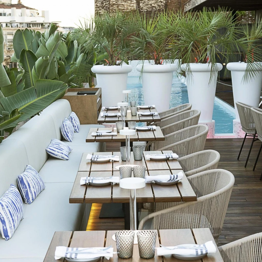 Mh verbena rooftop 06193 986 Mh verbena rooftop 06193 986