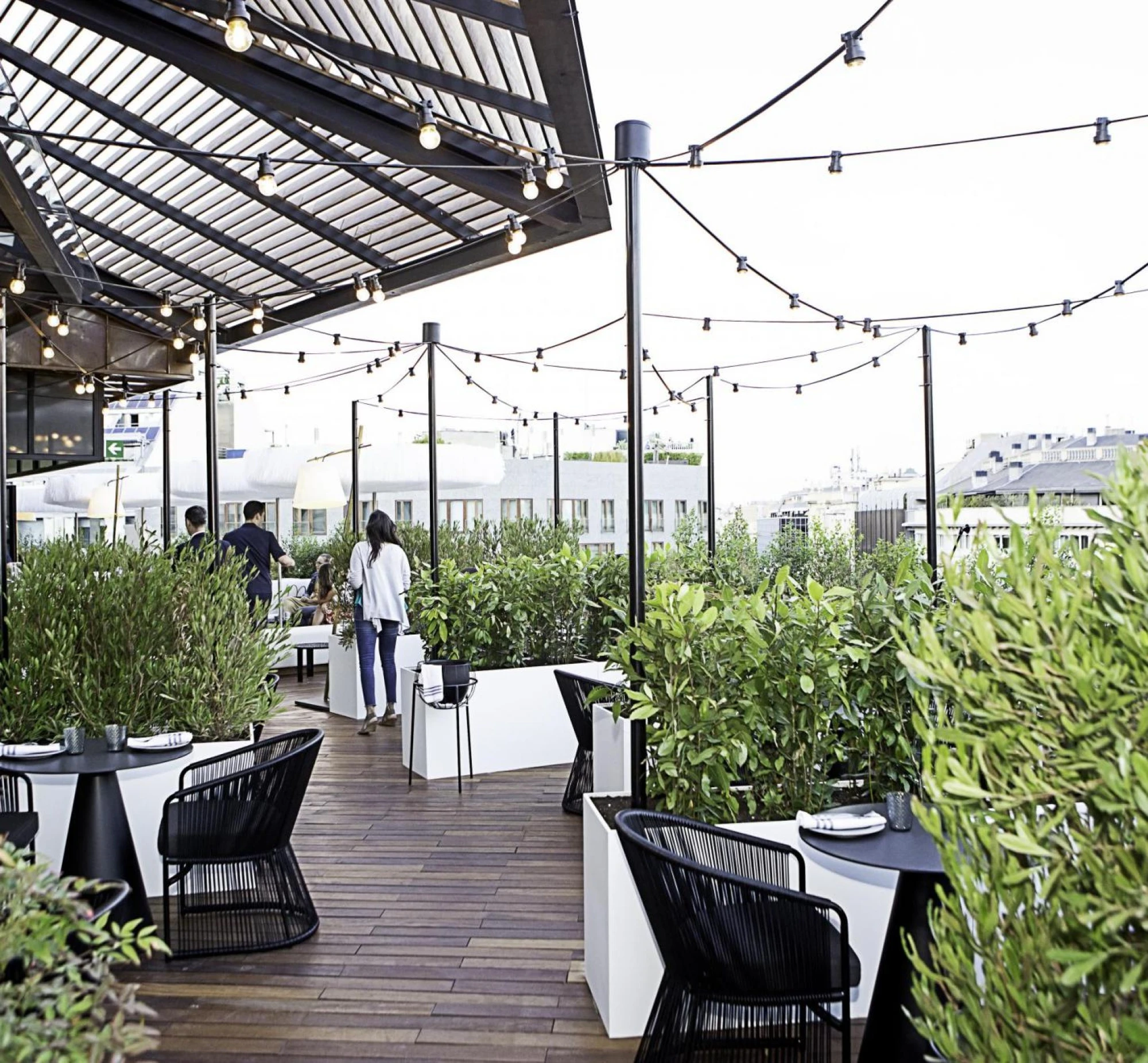 Mh verbena rooftop 06259 206