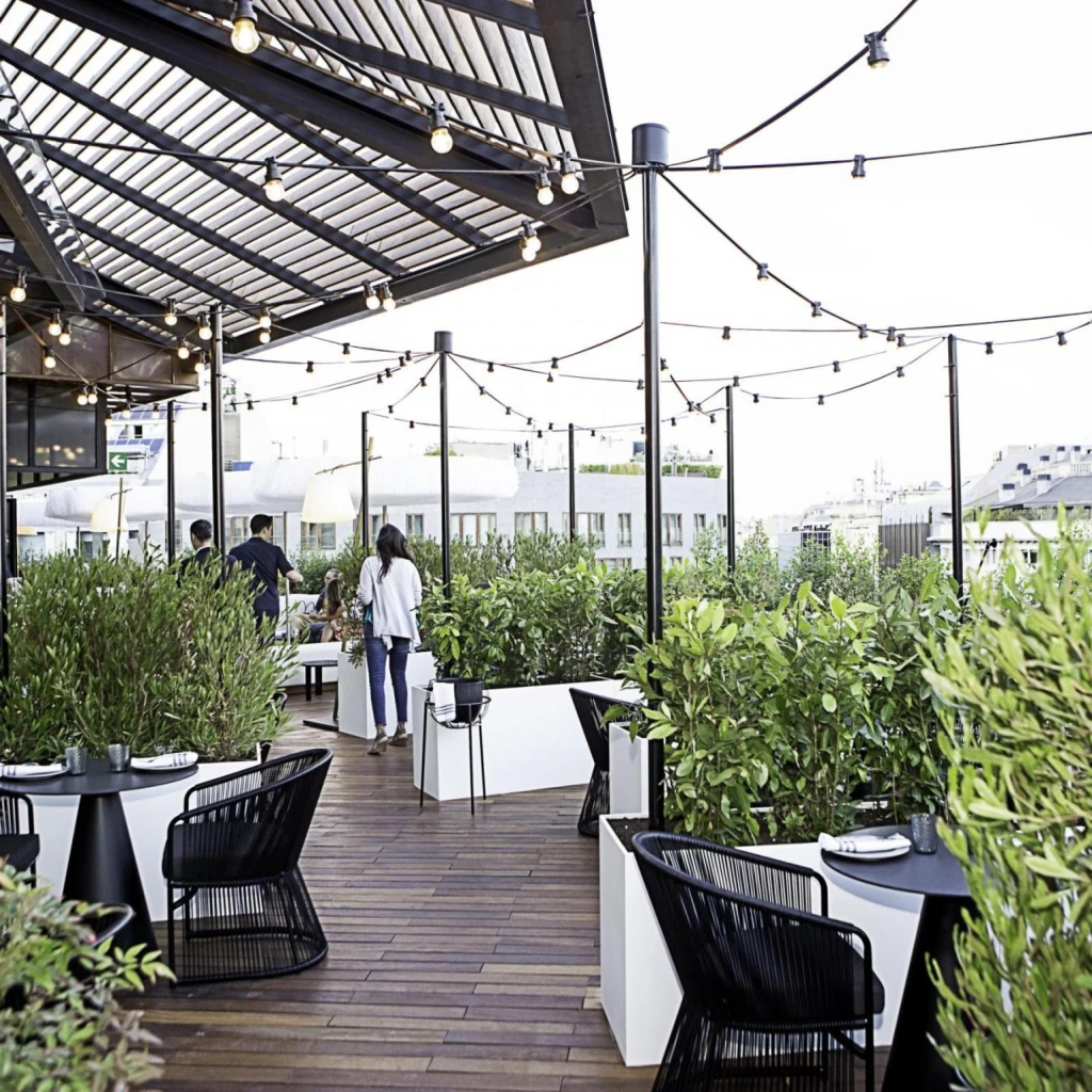 Mh verbena rooftop 06259 206 Mh verbena rooftop 06259 206