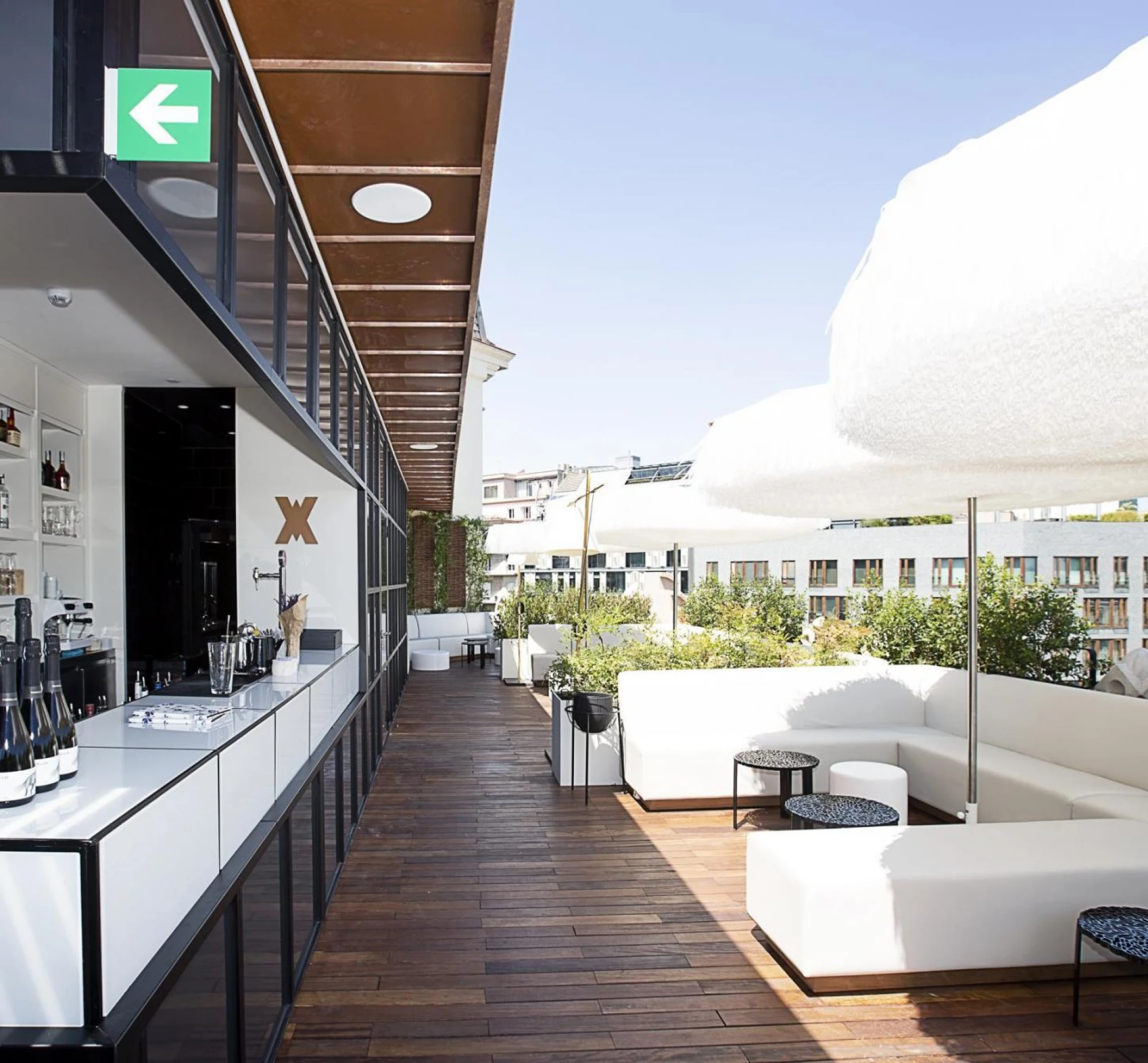 Mh verbena rooftop 07389 741