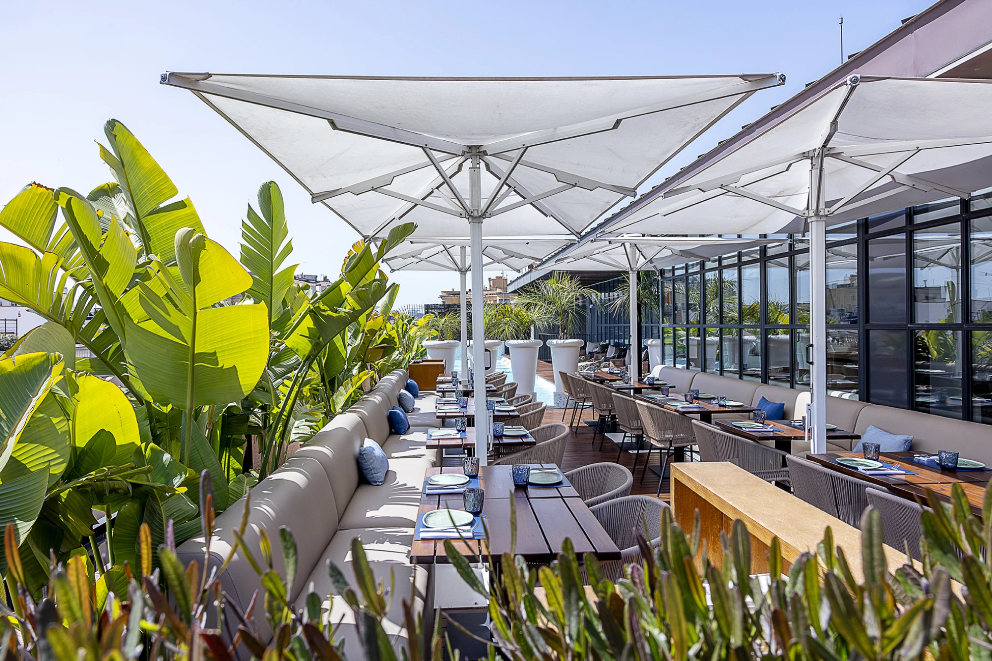 MH VERBENA TERRACE 07967