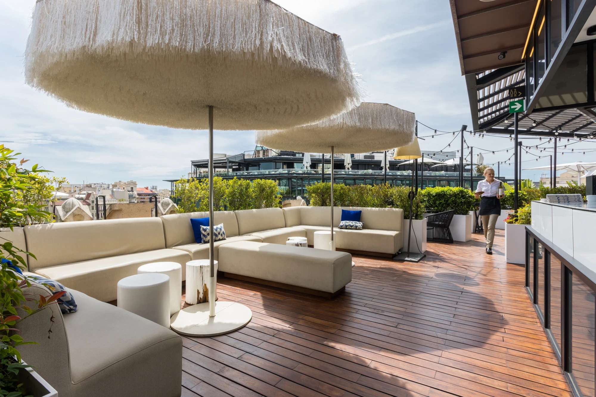 MH VERBENA TERRACE 85624