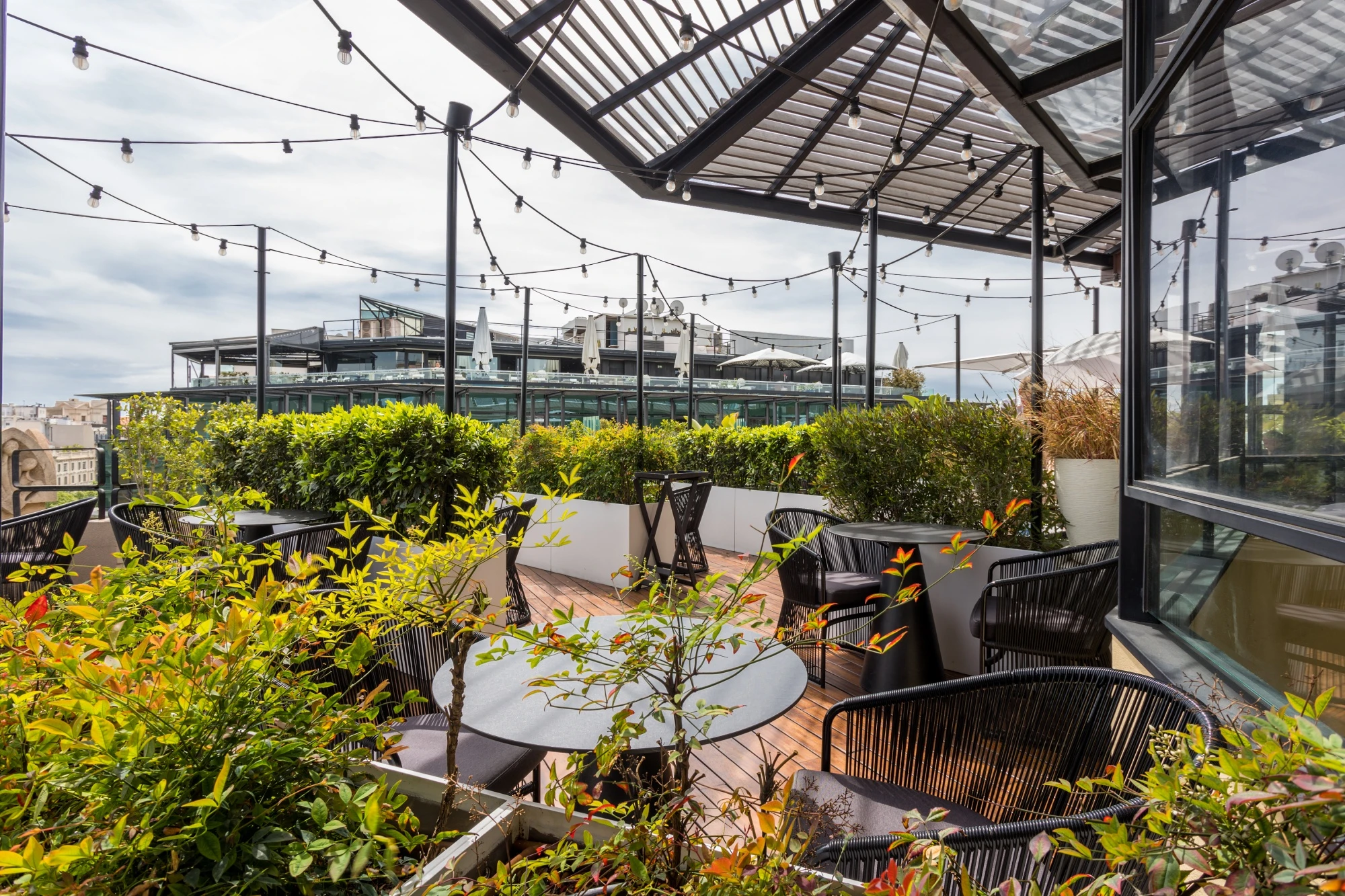 MH VERBENA TERRACE 85625