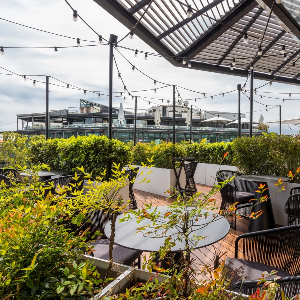 MH VERBENA TERRACE 85625 MH VERBENA TERRACE 85625
