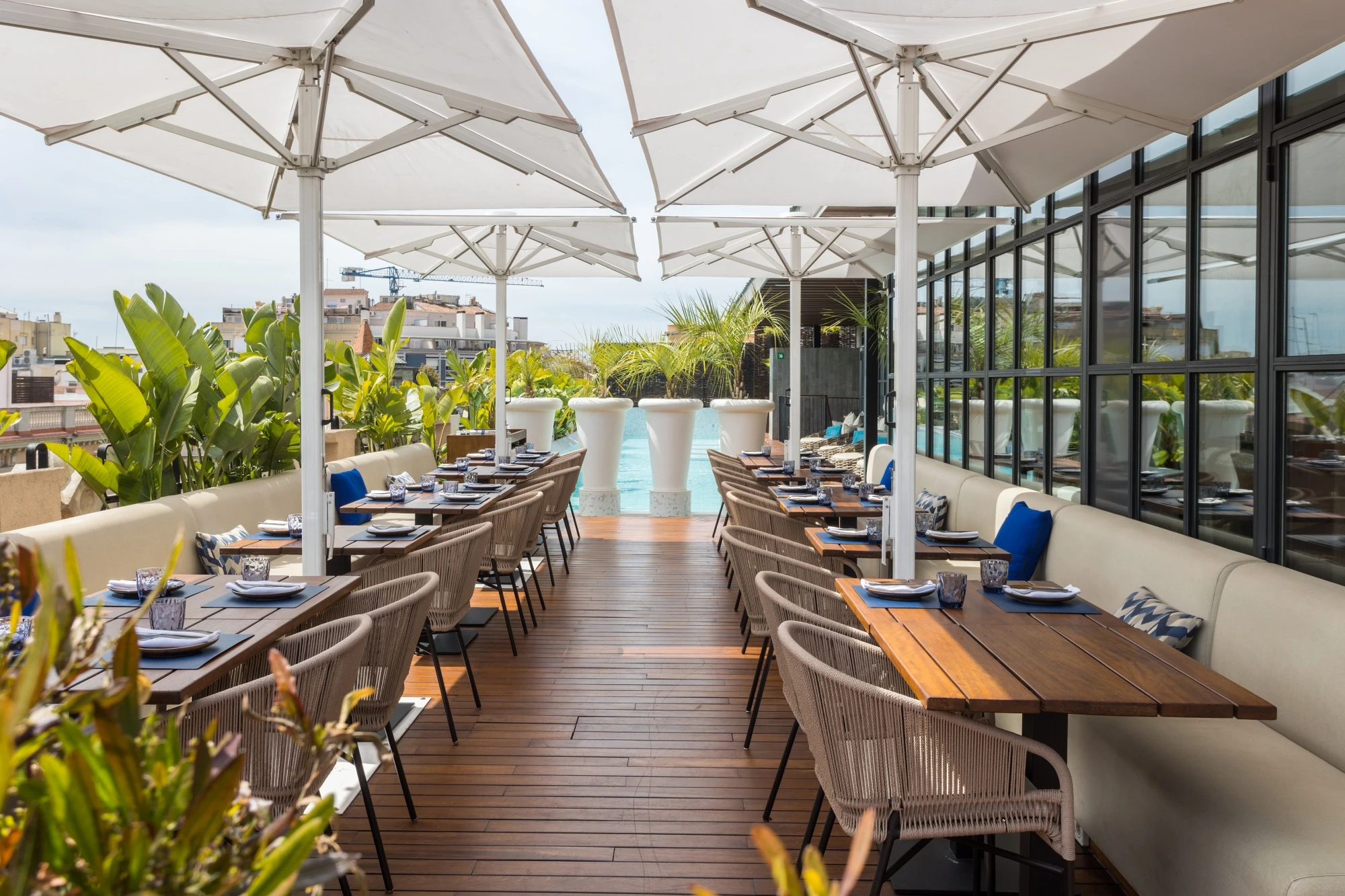 MH VERBENA TERRACE 85637