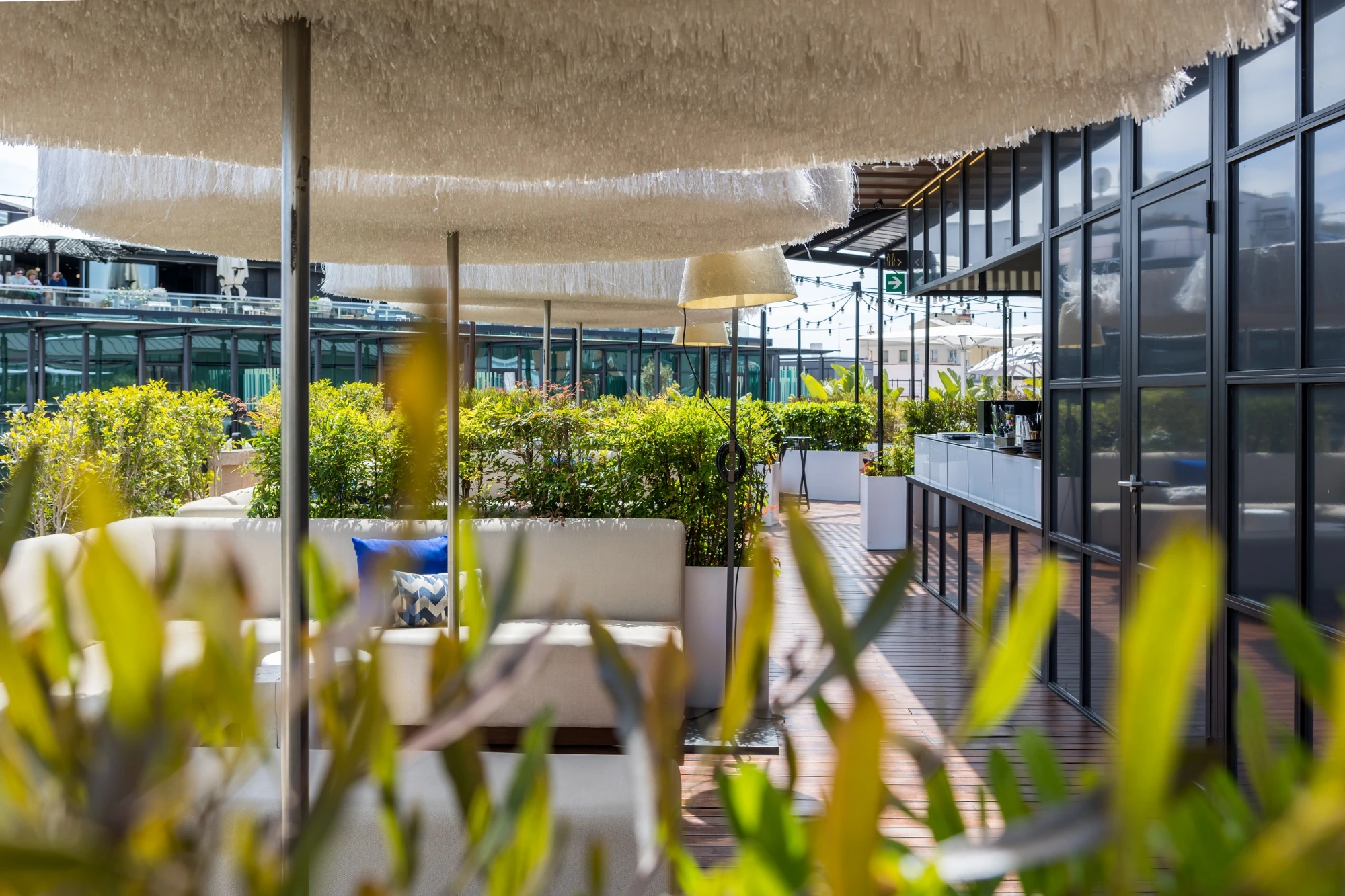 MH VERBENA TERRACE 85649