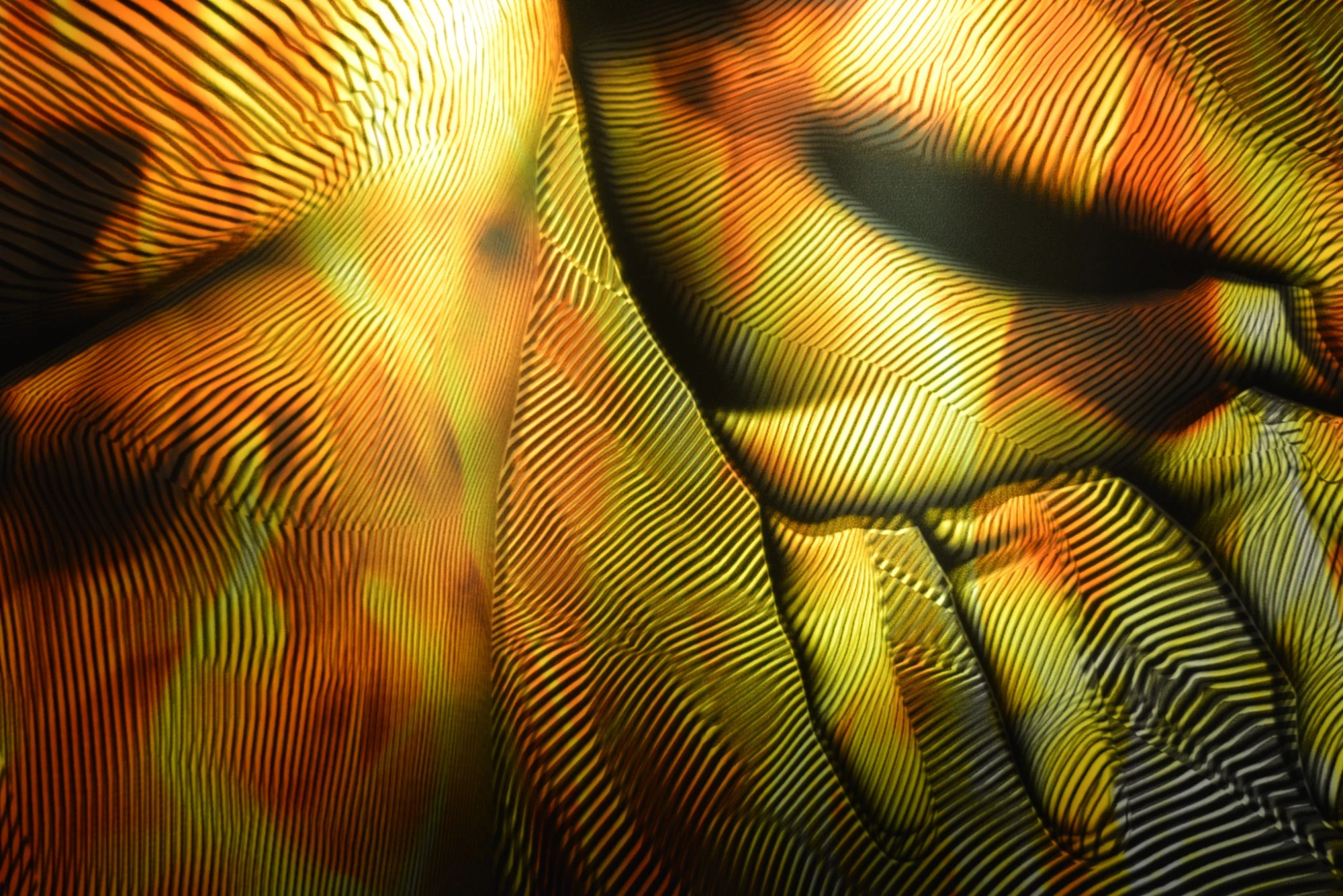 Franc Aleu | Hotel SOHO Barcelona