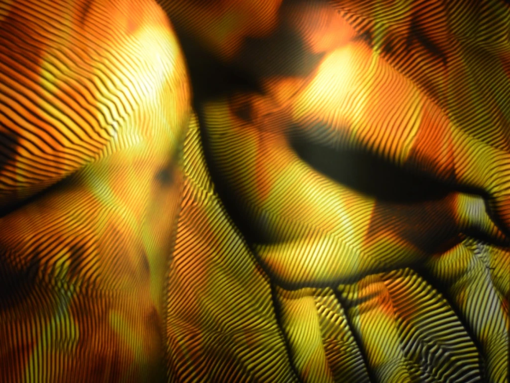 Franc Aleu | Hotel SOHO Barcelona Franc Aleu | Hotel SOHO Barcelona