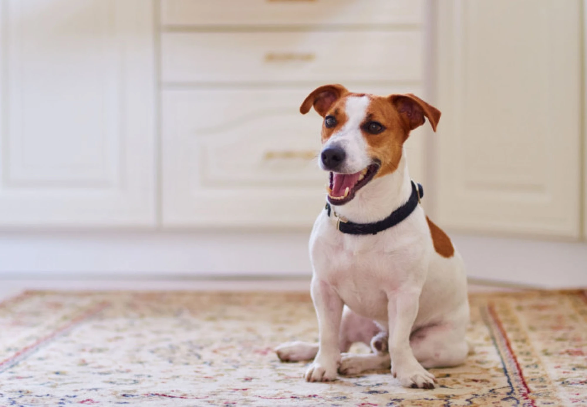 Aparthotel Arai 4*S Barcelona