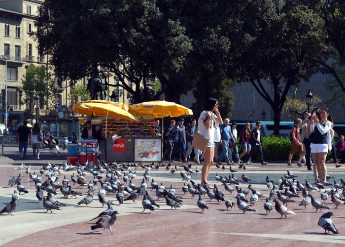 Plaza Cataluña | Barcelona Plaza Cataluña | Barcelona