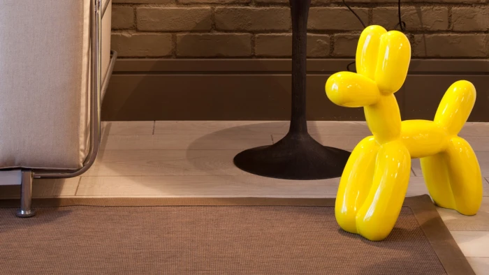 No pets allowed | Hotel Jazz No pets allowed | Hotel Jazz