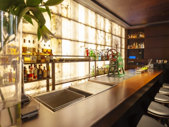 Hotel Urban 5*GL Madrid Hotel Urban 5*GL Madrid
