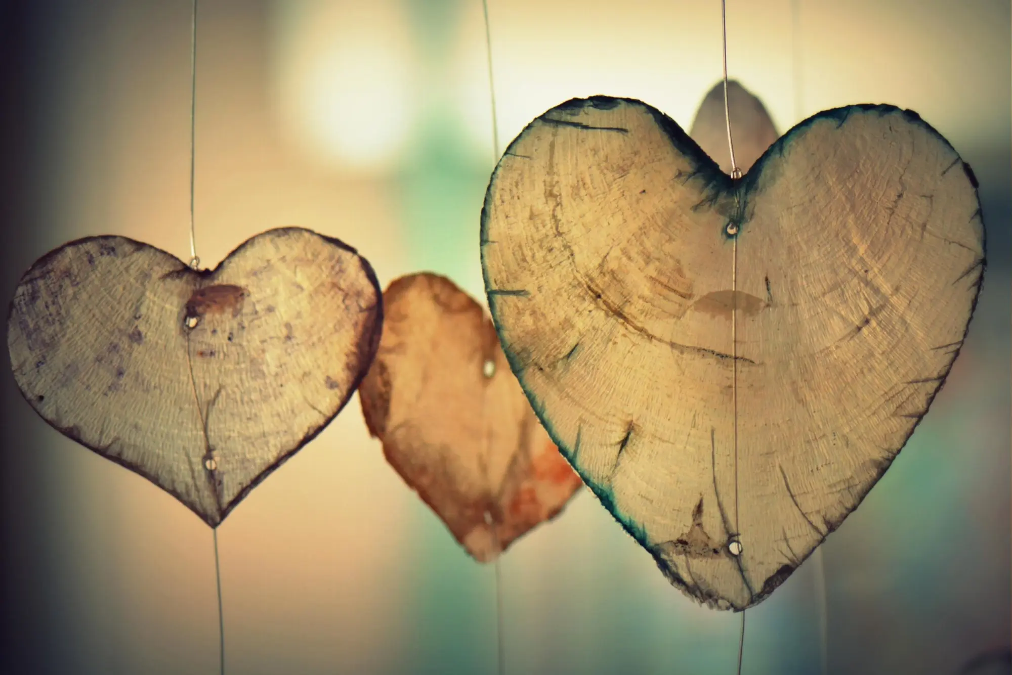 Heart love romance valentine