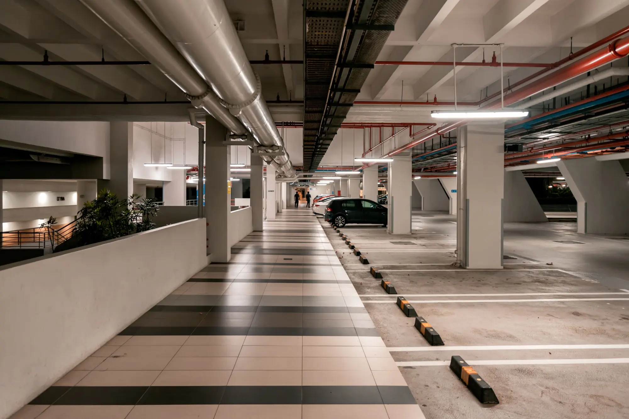 Wengang zhai WTEMy KBhqk unsplash (1)