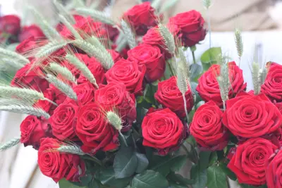 Se ve un ramo de rosas rojas con hojas verdes en un jarrón.