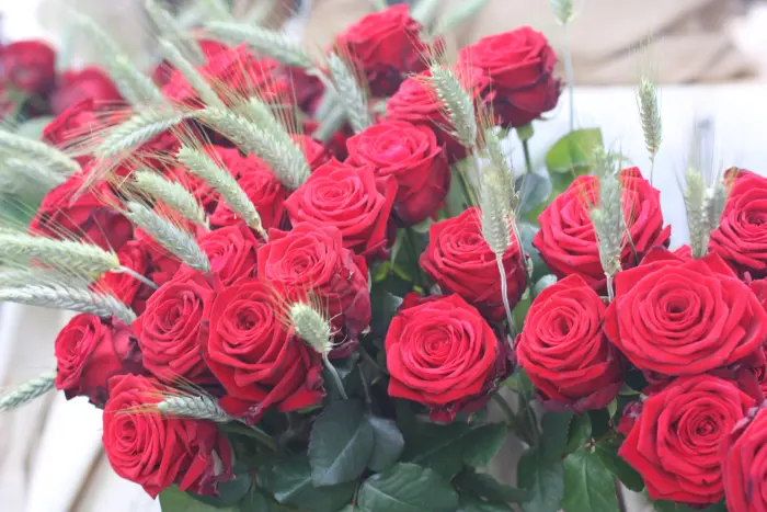 Se ve un ramo de rosas rojas con hojas verdes en un jarrón.