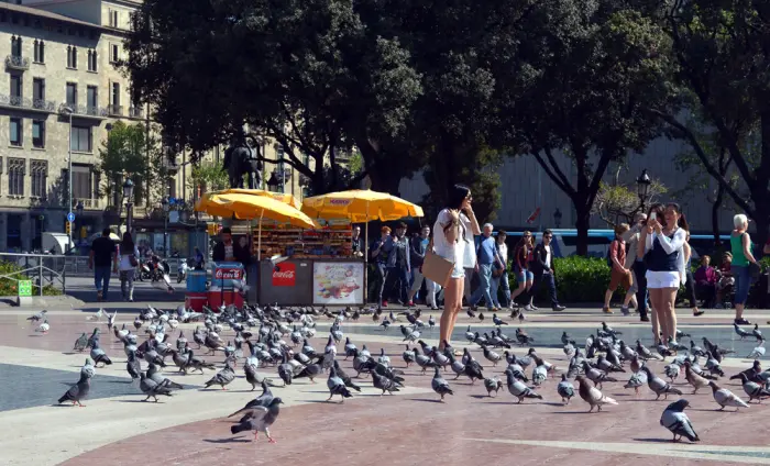 Ein städtischer Platz mit Tauben auf dem Boden und Menschen, die in der Nähe von Ständen spazieren gehen und sitzen.