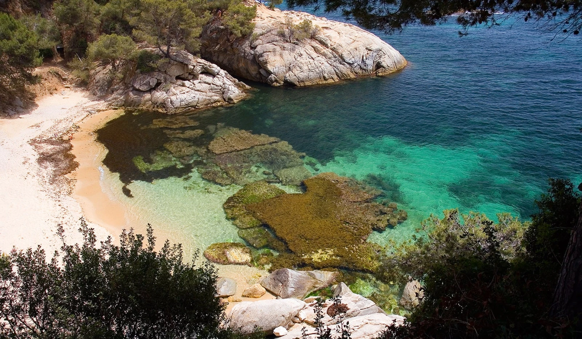 Beach 2 cala del pi salles