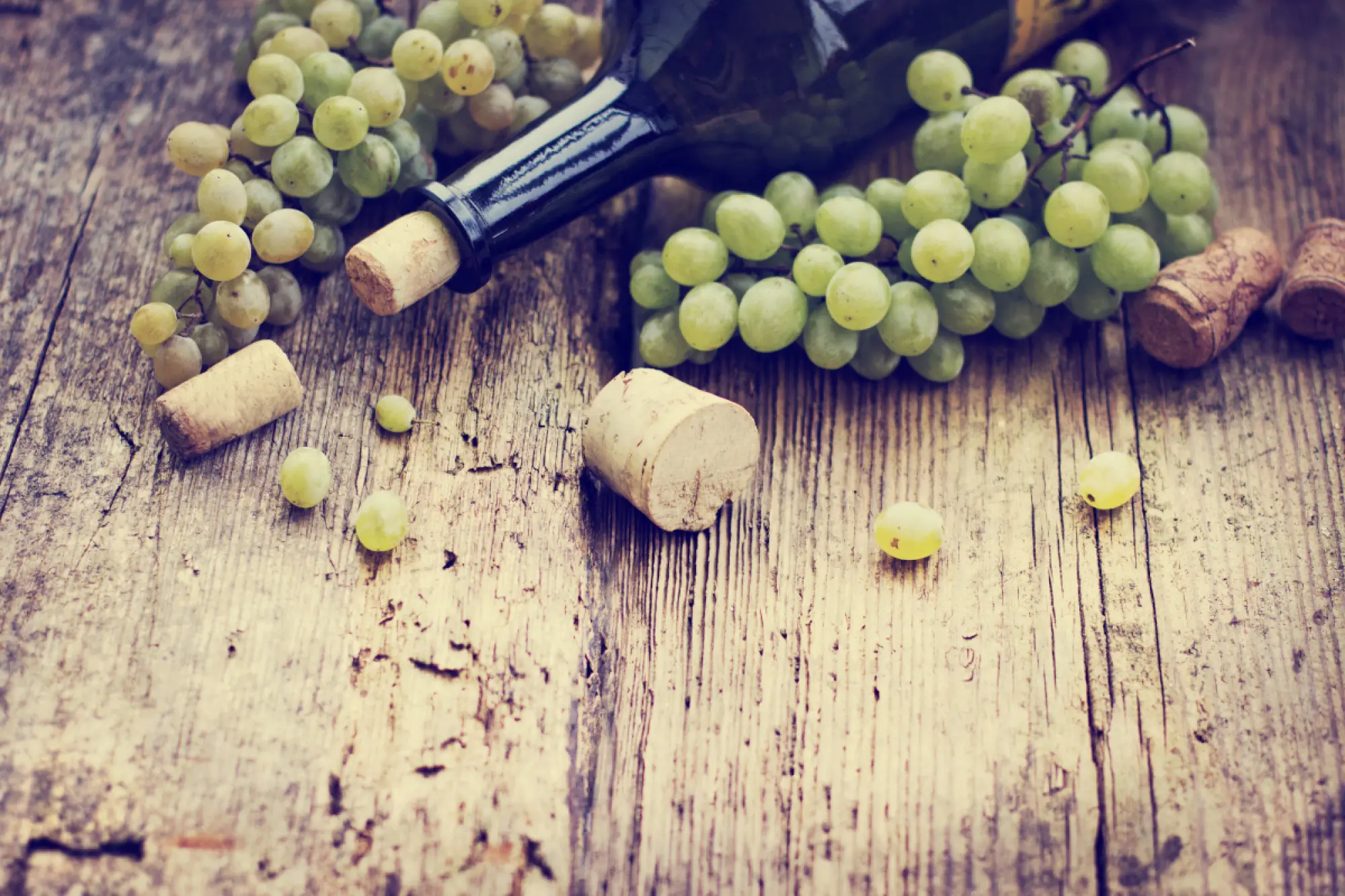 Uvas