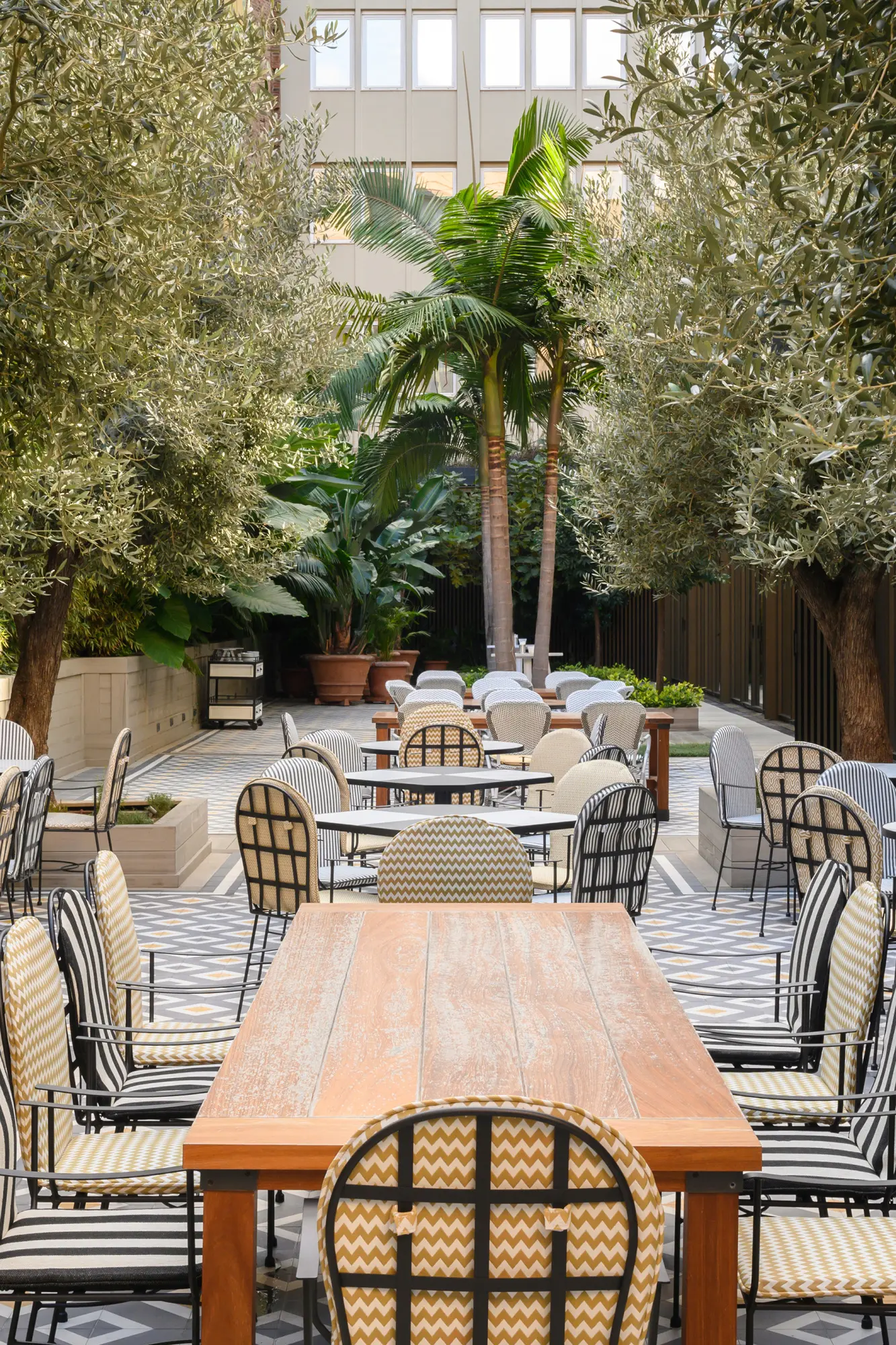Terraza con mesas y sillas entre palmeras y árboles.