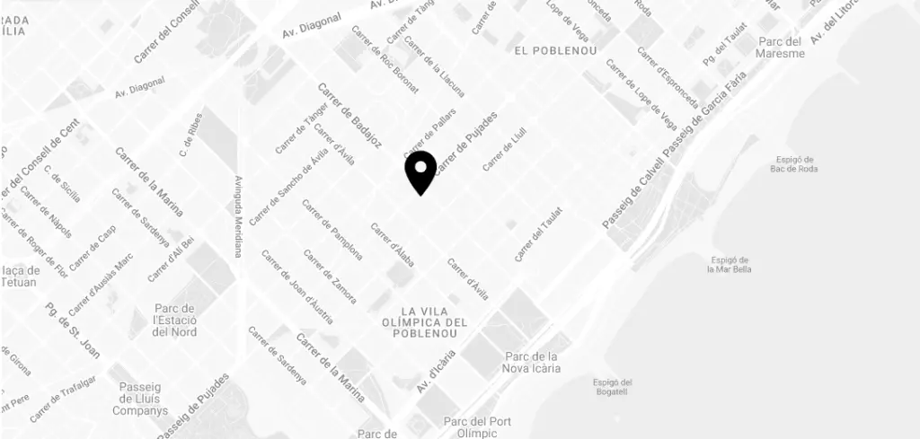Se muestra un mapa con calles y un marcador de ubicación en el centro.