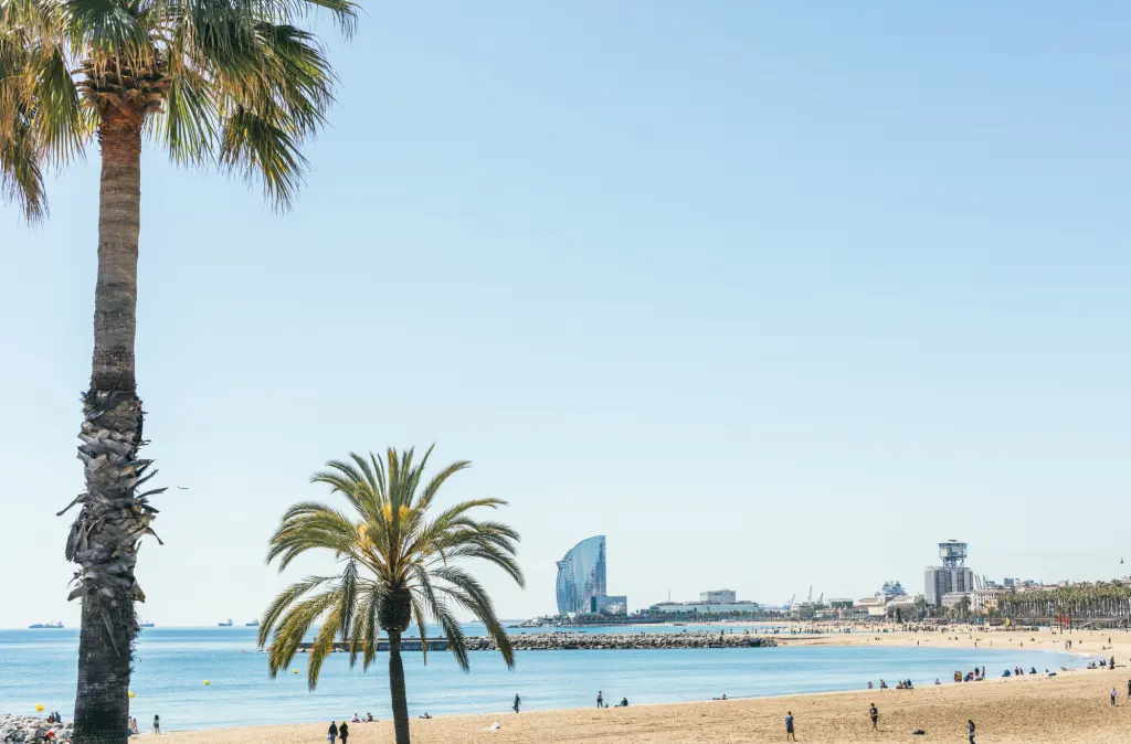 On voit une plage avec des palmiers, des baigneurs et la mer en arrière-plan.